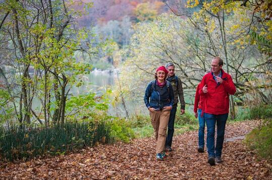 Wegszene Camino-Coaching