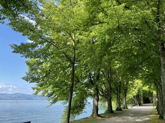 Impression von der Bodensee-Route von THE WALK